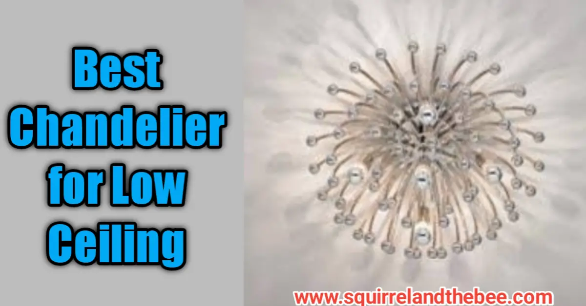 Best Chandelier for Low Ceiling