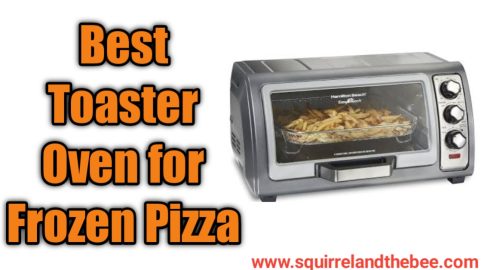 Best Toaster Oven for Frozen Pizza
