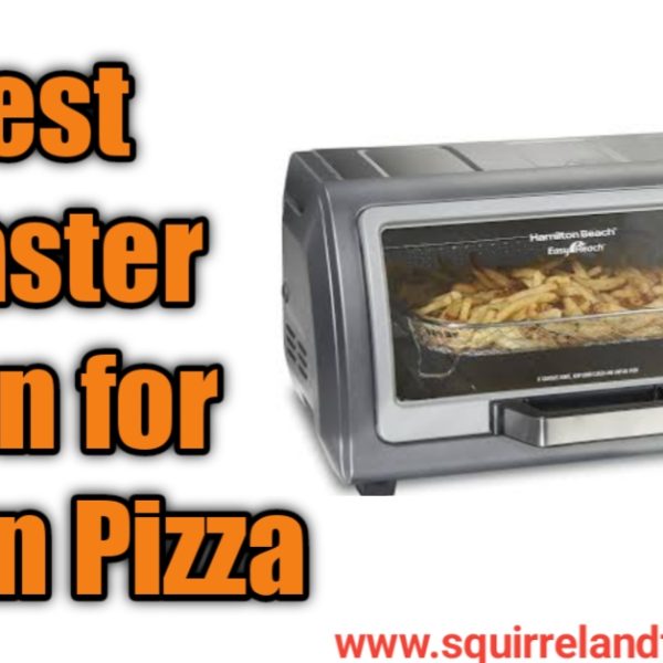 Best Toaster Oven for Frozen Pizza [2024]