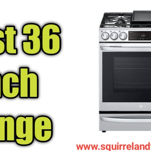 best 36 inch gas range oven [2023]