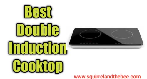 Best Double Induction Cooktop