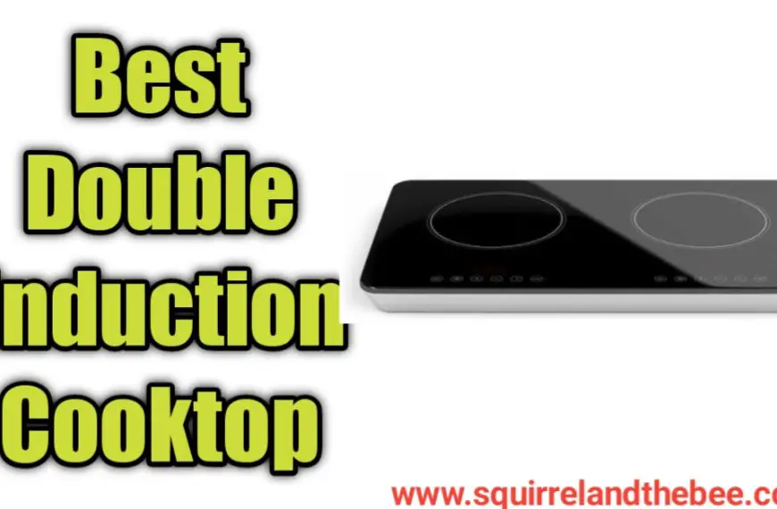 Best Double Induction Cooktop