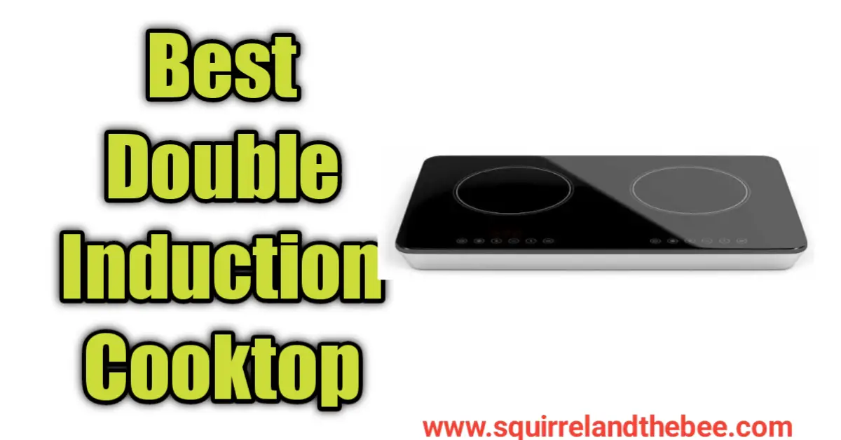 Best Double Induction Cooktop