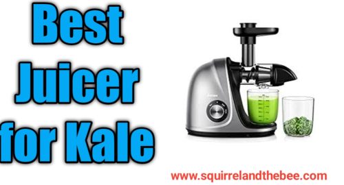 Best Juicer for Kale