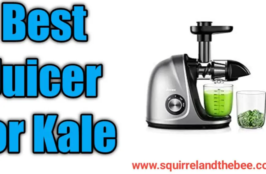 Best Juicer for Kale