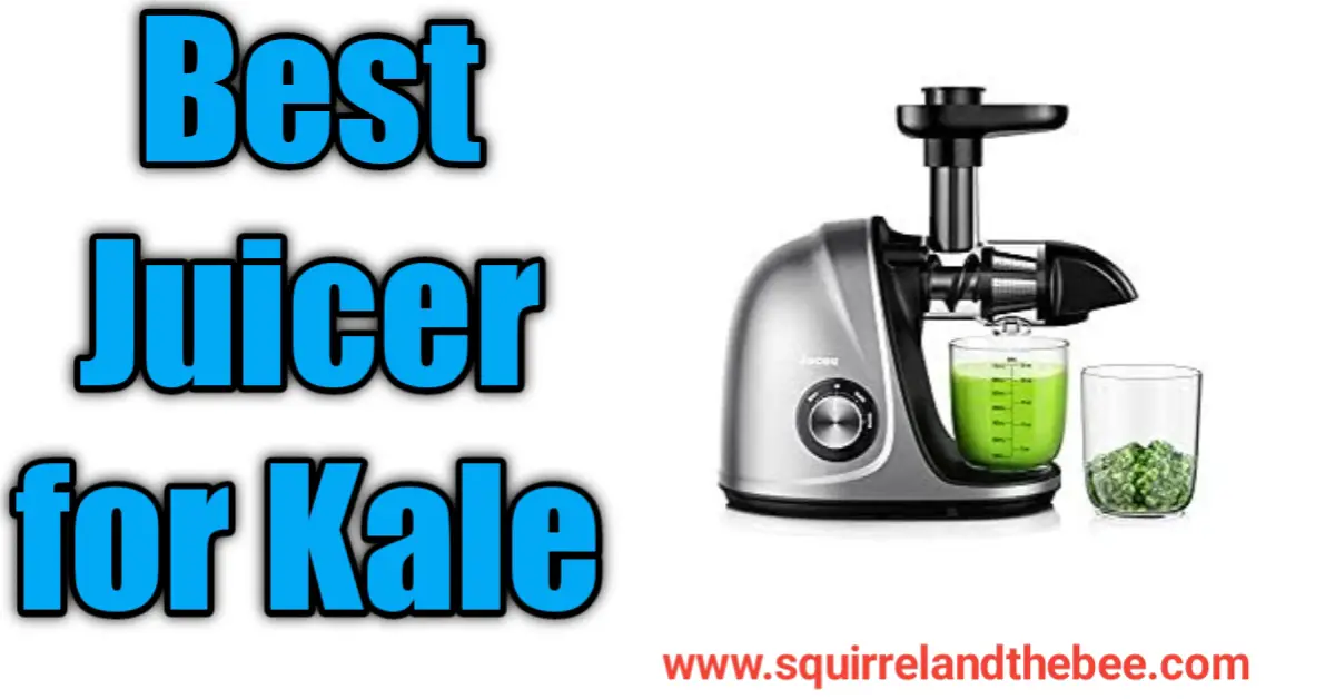 Best Juicer for Kale