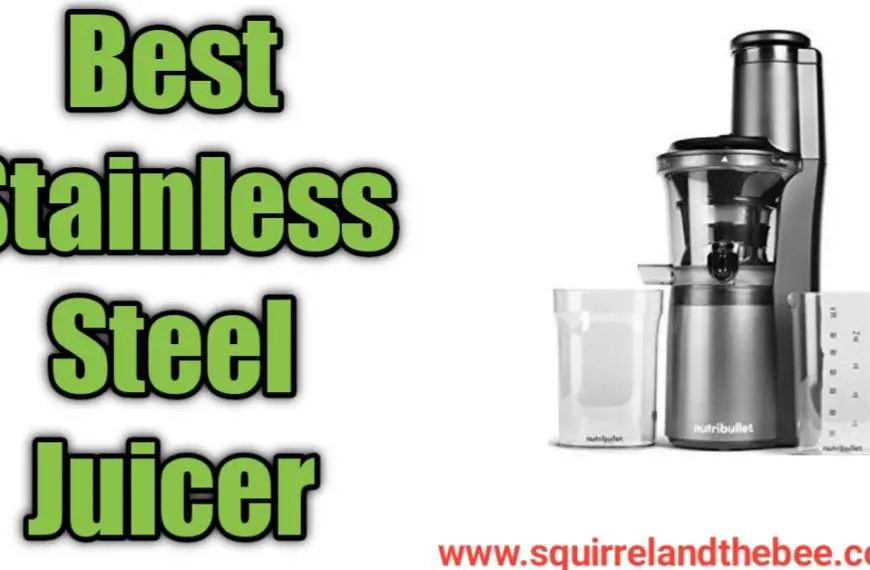 Best Stainless Steel Juicer