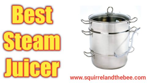 Best Steam Juicer