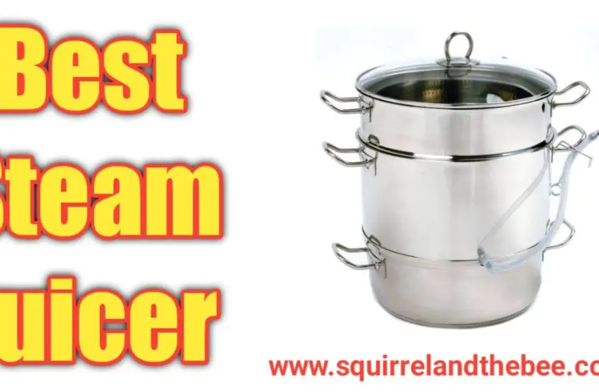 Best Steam Juicer