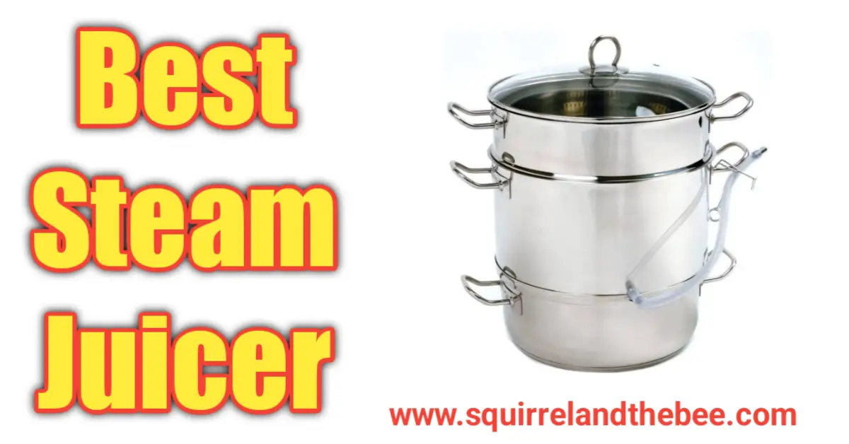 Best Steam Juicer