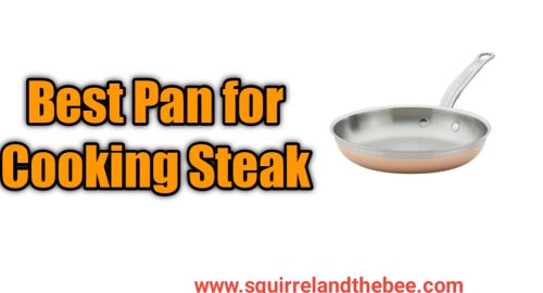 Best Pan for Cooking Steak