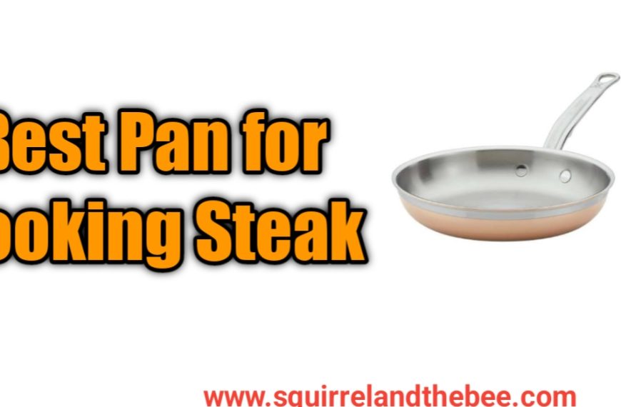 Best Pan for Cooking Steak [2024]