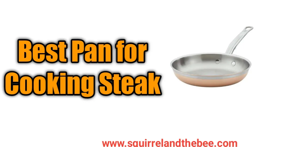 Best Pan for Cooking Steak