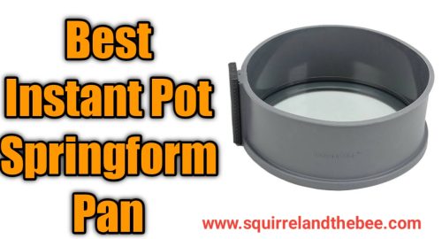 Best Instant Pot Springform Pan