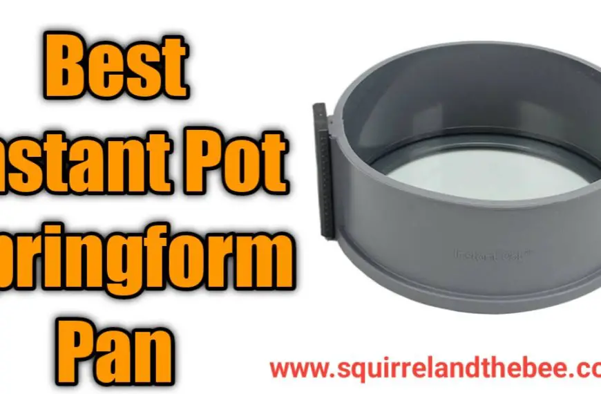 Best Instant Pot Springform Pan [2023]