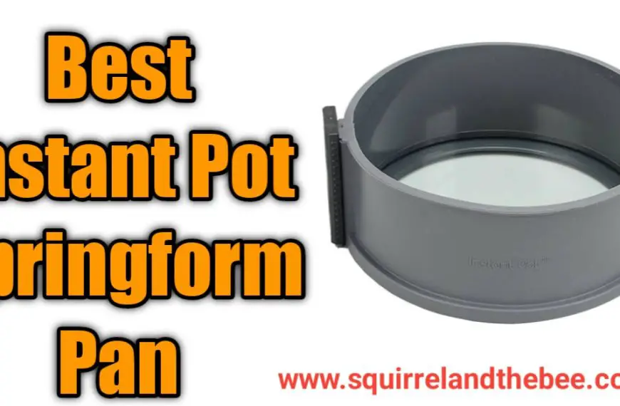 Best Instant Pot Springform Pan [2024]