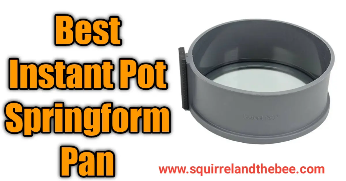 Best Instant Pot Springform Pan