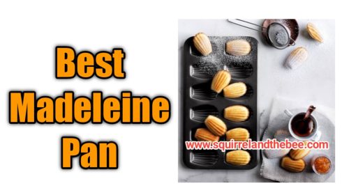 Best Madeleine Pan