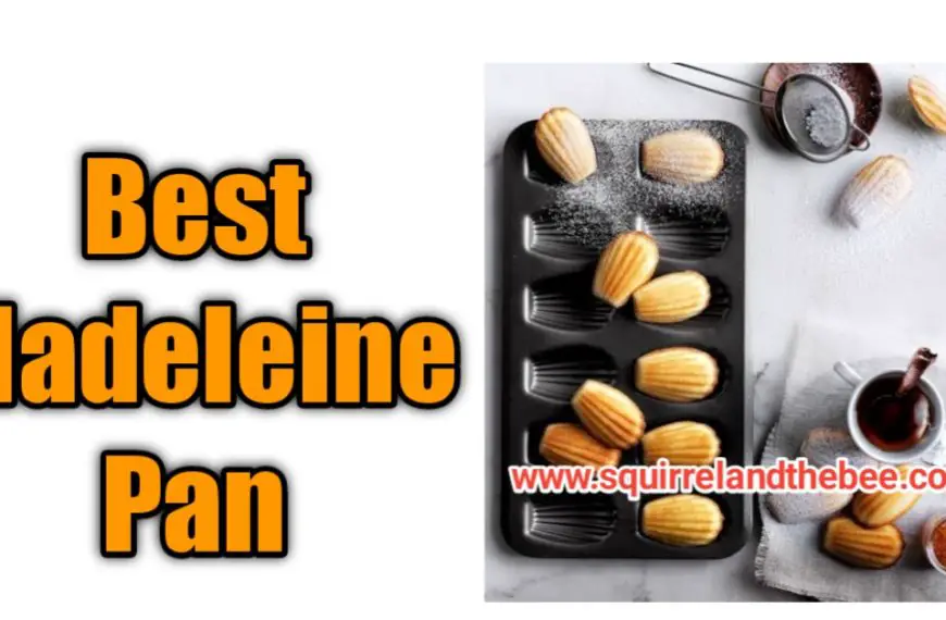 Best Madeleine Pan