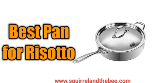 Best Pan for Risotto