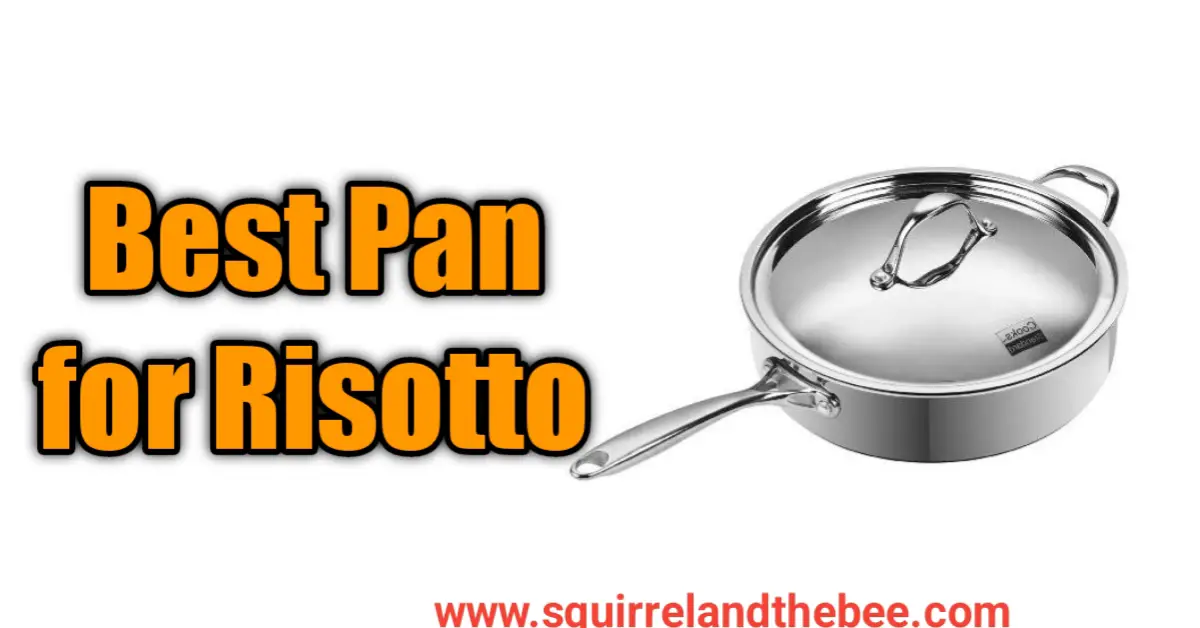 Best Pan for Risotto