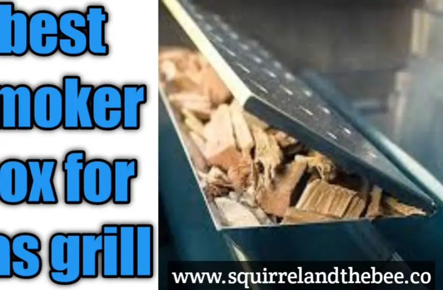 Best smoker box for gas grill