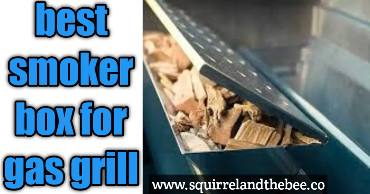 Best smoker box for gas grill