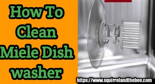 How To Clean Miele Dishwasher