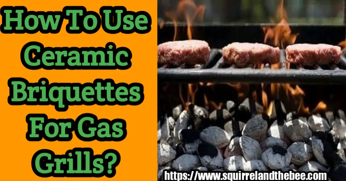 How To Use Ceramic Briquettes For Gas Grills?