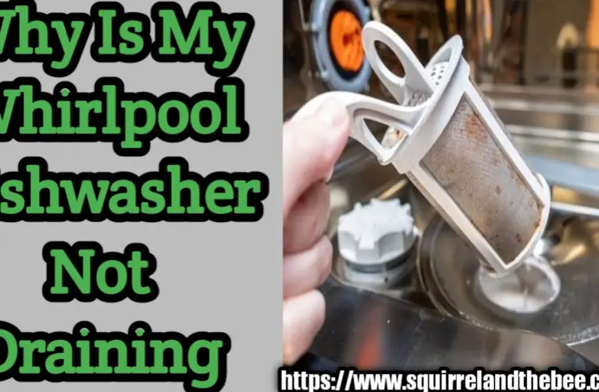 Why Is My Whirlpool Dishwasher Not Draining