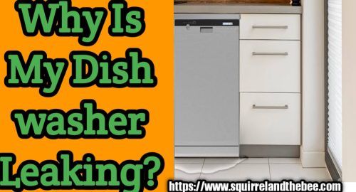 Why Is My Dishwasher Leaking?