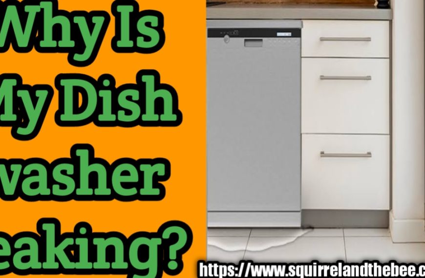 Why Is My Dishwasher Leaking?