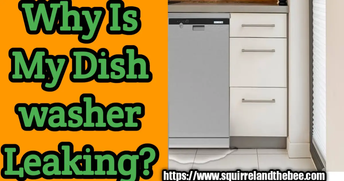 Why Is My Dishwasher Leaking?