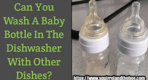 Can You Wash A Baby Bottle In The Dishwasher With Other Dishes?
