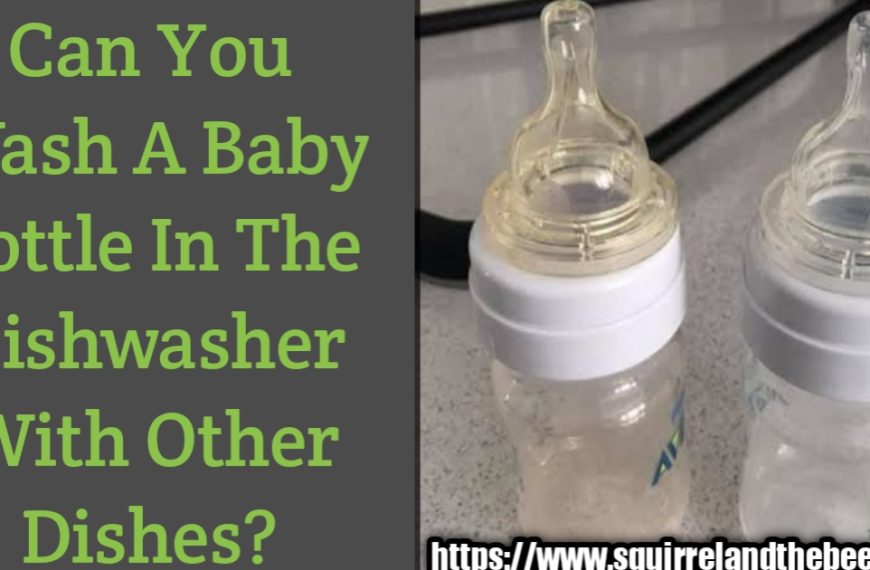 Can You Wash A Baby Bottle In The Dishwasher With Other Dishes