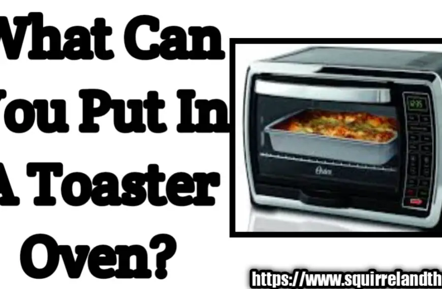 What Can You Put In A Toaster Oven?