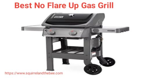 Best No Flare Up Gas Grill