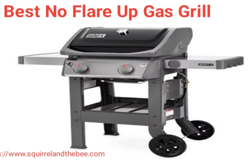 Best No Flare Up Gas Grill 2023