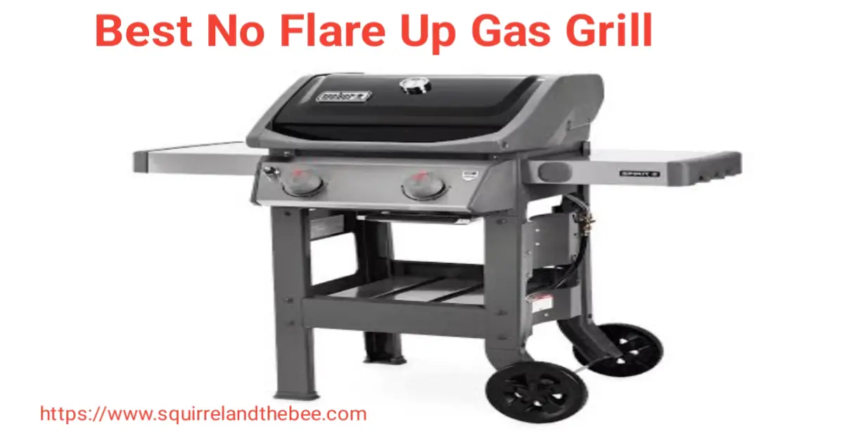 Best No Flare Up Gas Grill