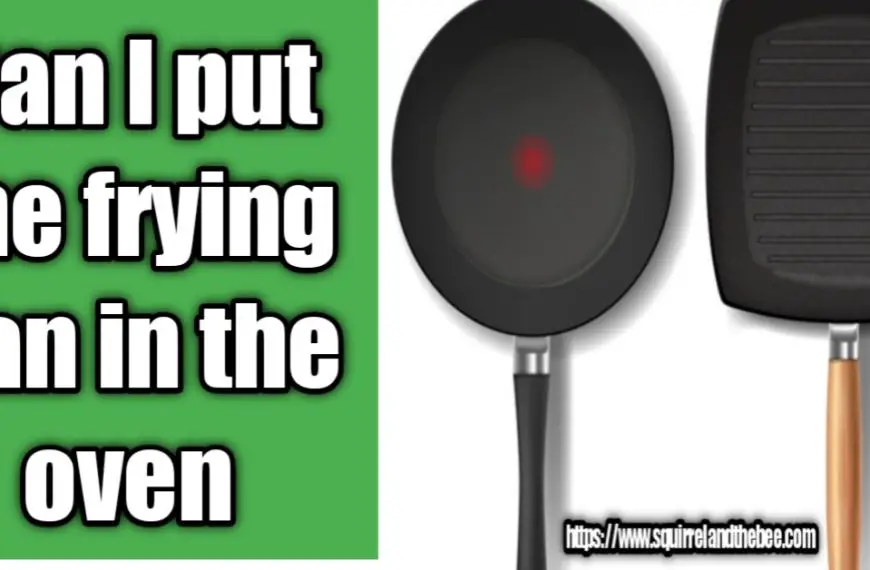 Can I put the frying pan in the oven?