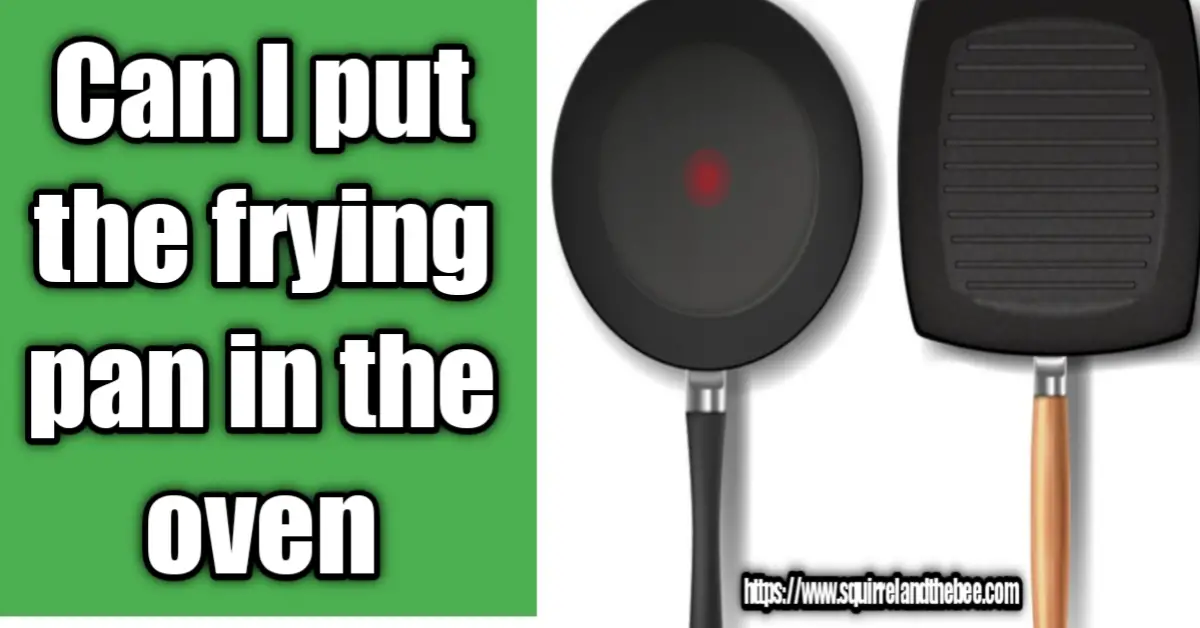 Can I put the frying pan in the oven?