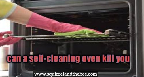 can a self-cleaning oven kill you?