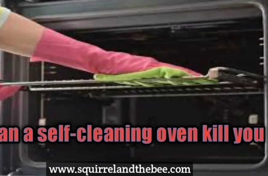 can a self-cleaning oven kill you?