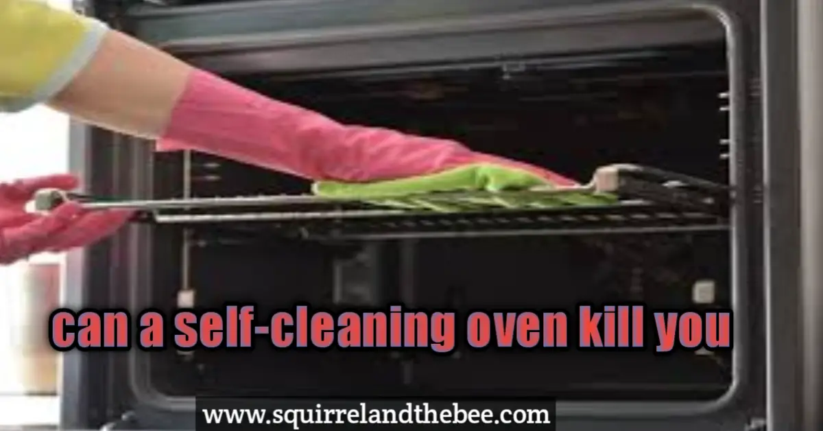 can a self-cleaning oven kill you?
