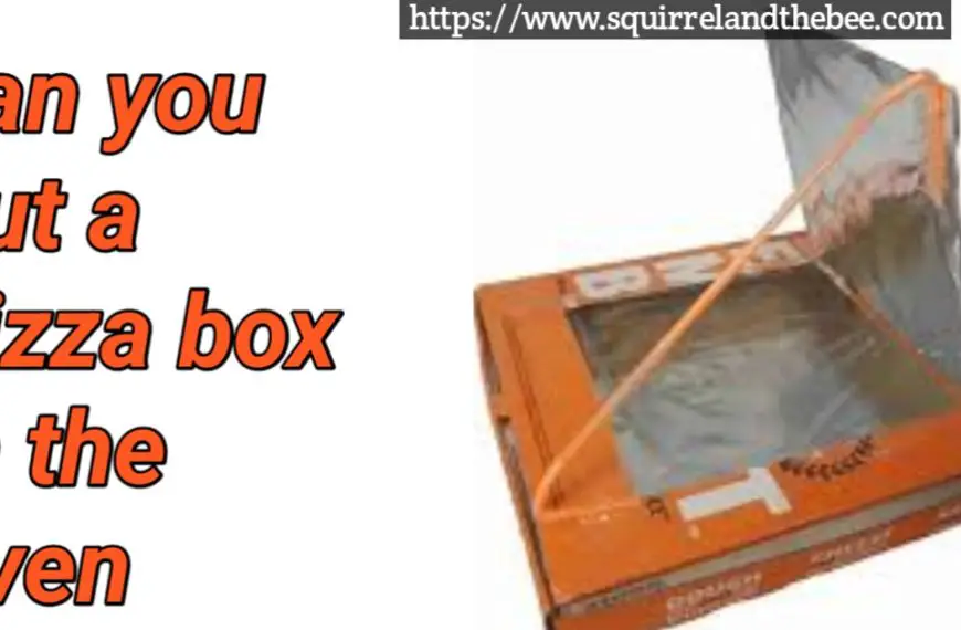 can you put a pizza box in the oven