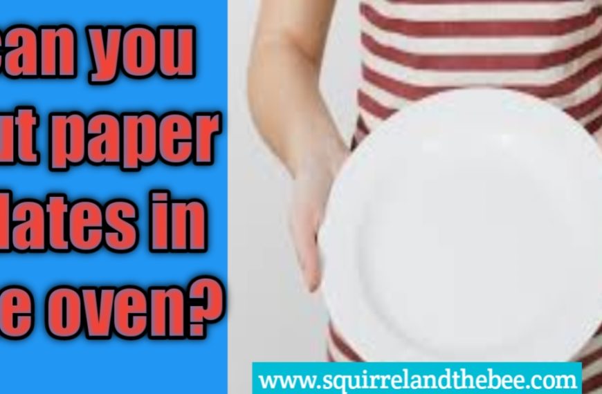 can you put paper plates in the oven?
