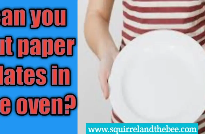 can you put paper plates in the oven