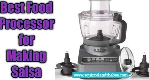 Best Food Processor for Making Salsa